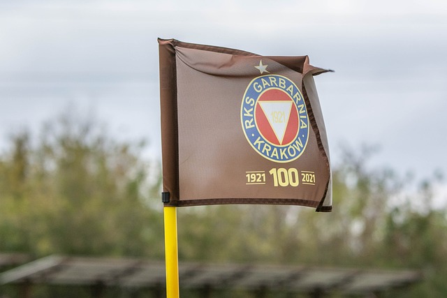 湖人队的防 湖人队的防