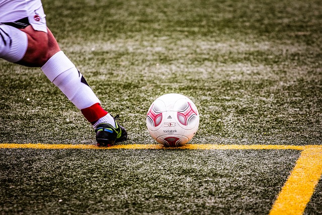 都不可避免 都不可避免