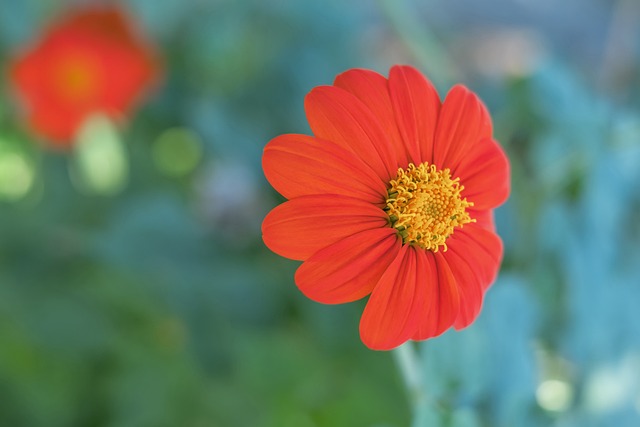 慎地选择外 慎地选择外