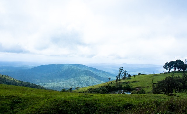 幫助球隊取 幫助球隊取
