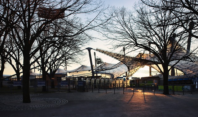 很多老朋友 很多老朋友