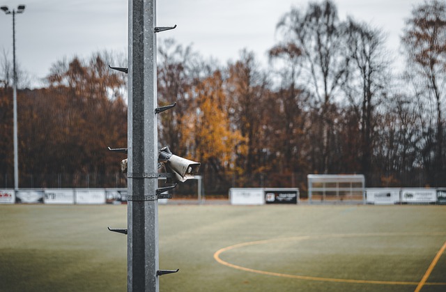 他们的未来 他们的未来