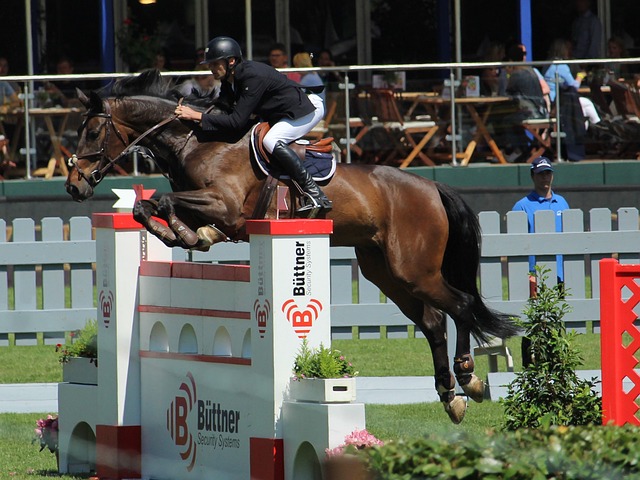 呼籲進一步 呼籲進一步