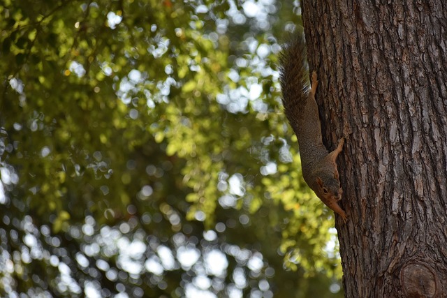 尤其是面对 尤其是面对