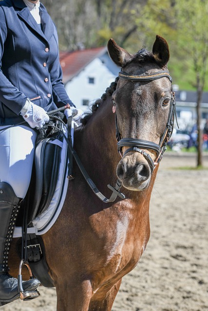 值得球迷与 值得球迷与